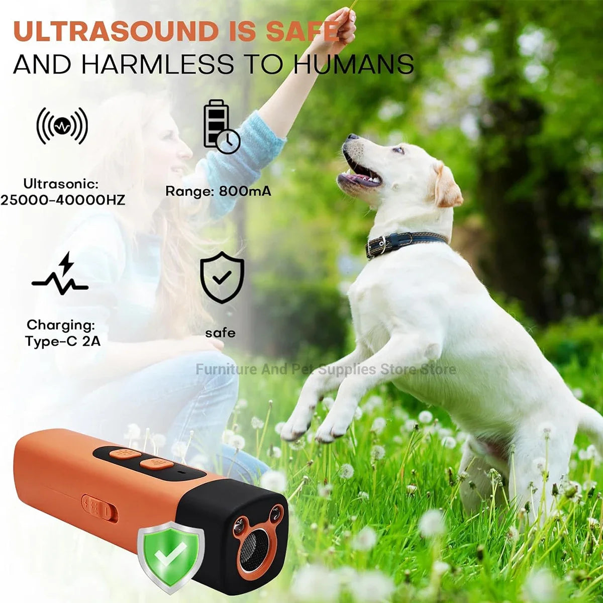 Silent Paws Dog Trainer