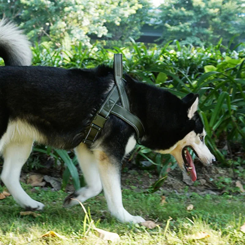 Tactical Dog Training Harness