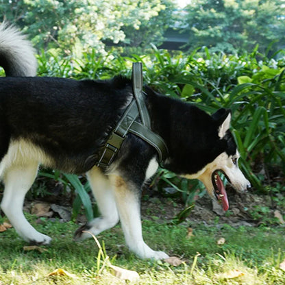 Tactical Dog Training Harness