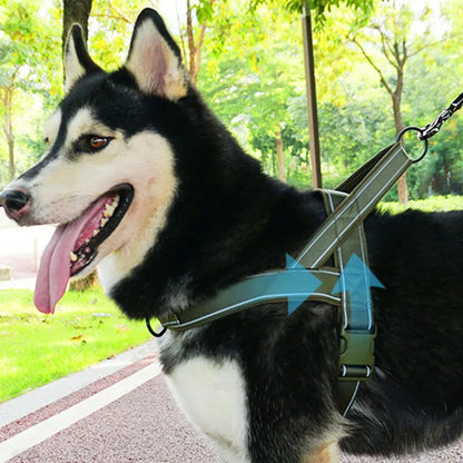 Tactical Dog Training Harness