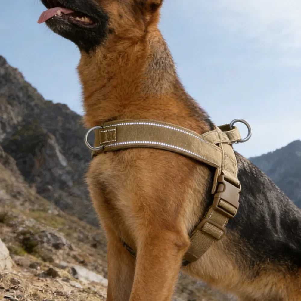 Ultimate No-Pull Dog Harness