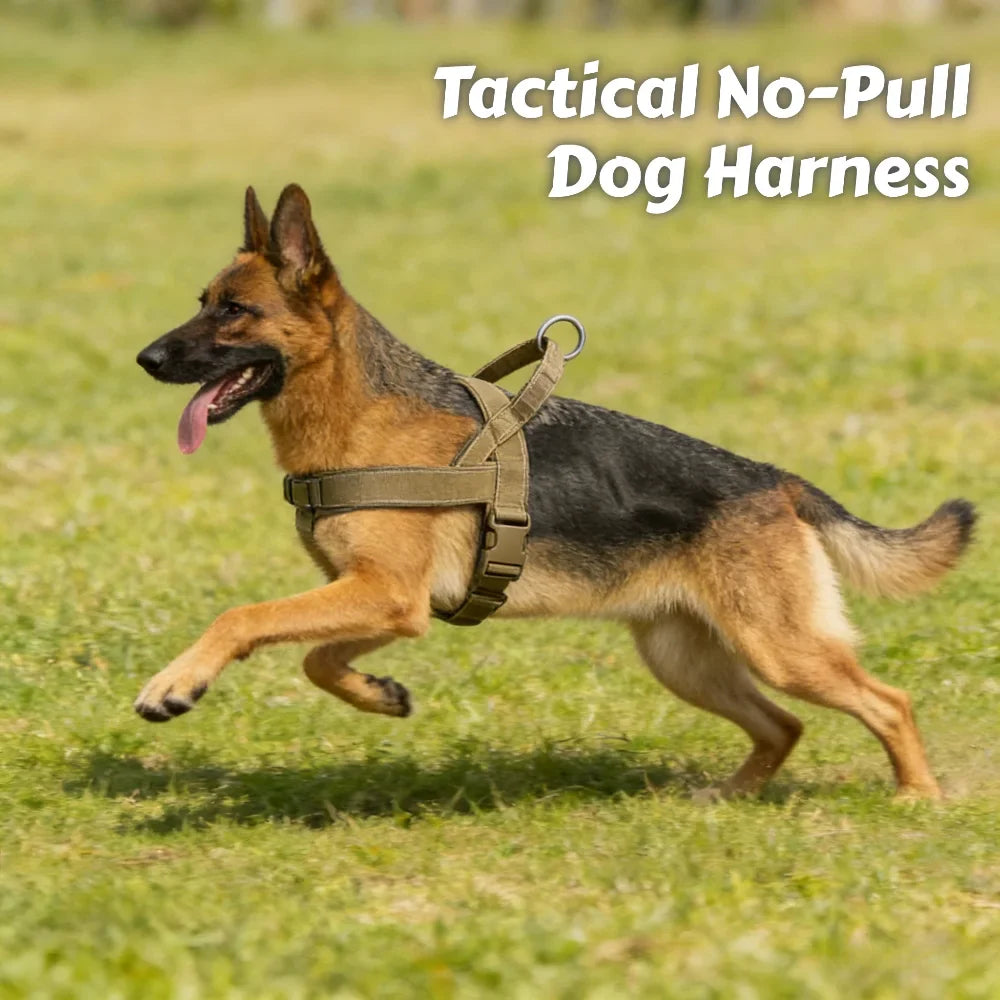 Ultimate No-Pull Dog Harness