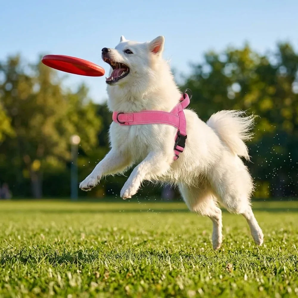 Ultimate No-Pull Dog Harness