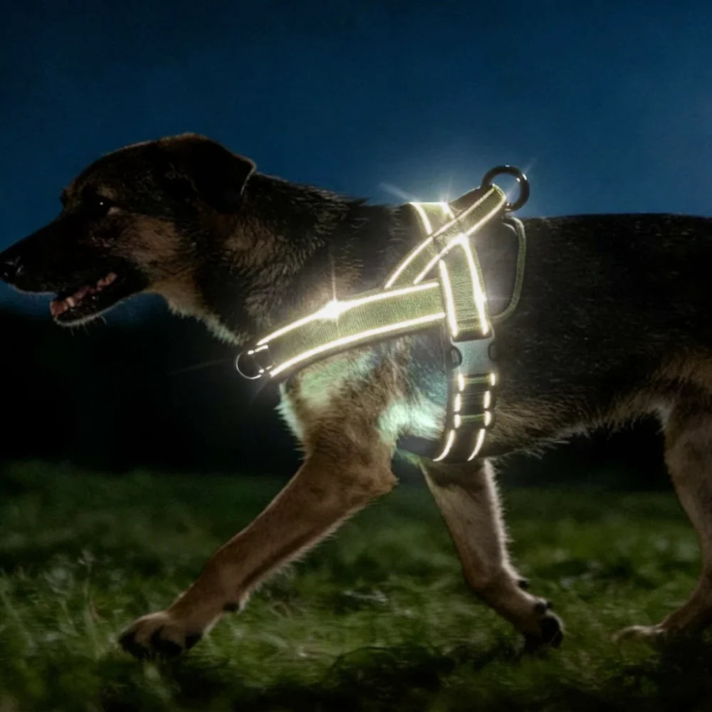 Ultimate No-Pull Dog Harness